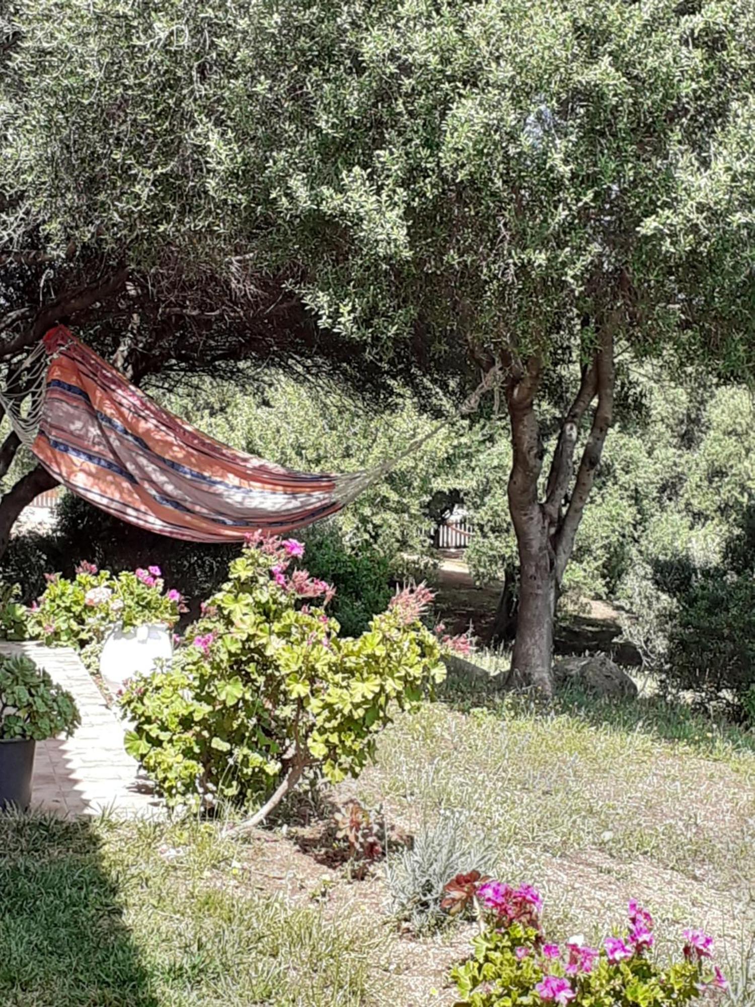 Agriturismo Gli Olivastri Aglientu Exterior foto