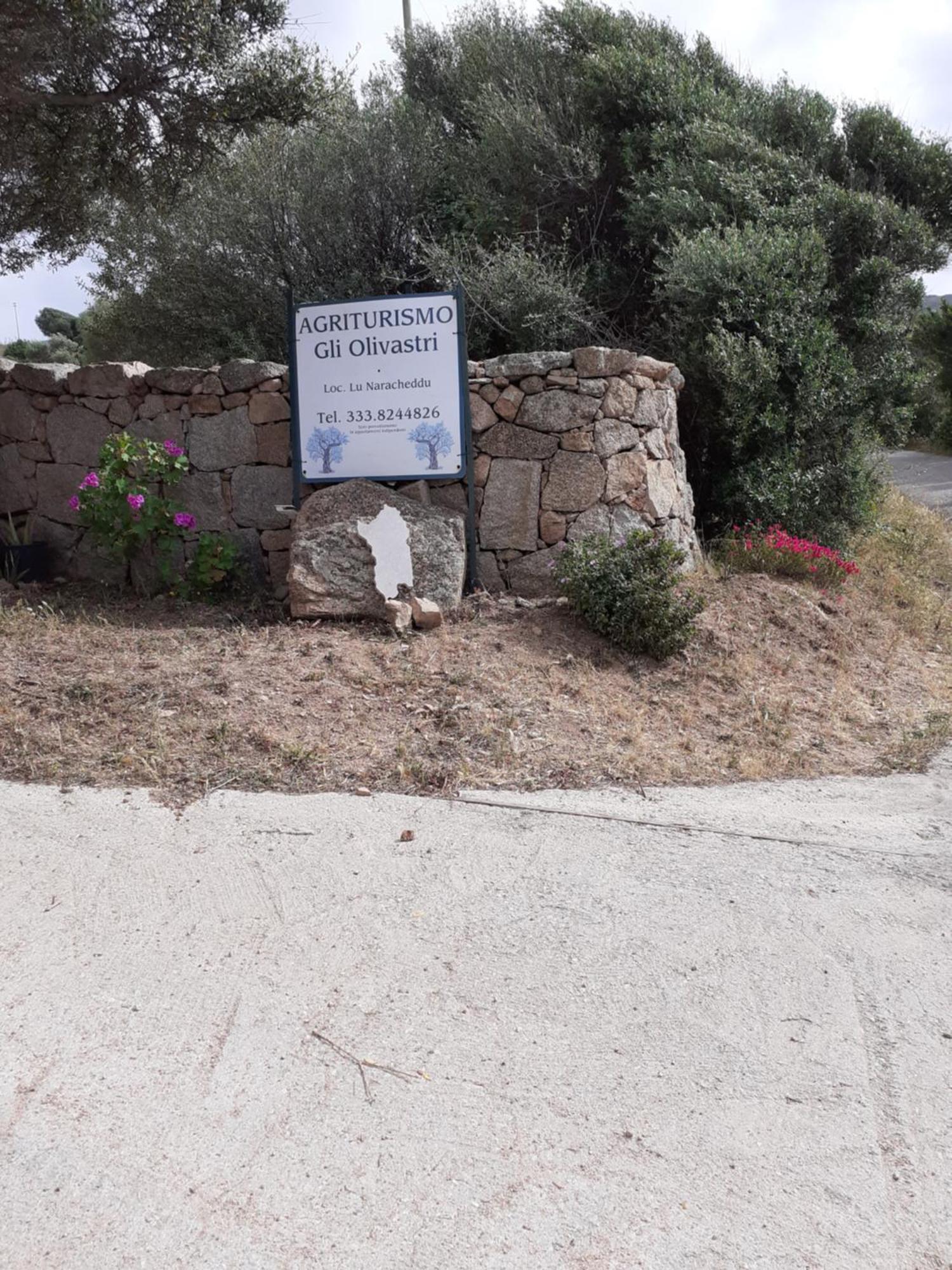 Agriturismo Gli Olivastri Aglientu Exterior foto