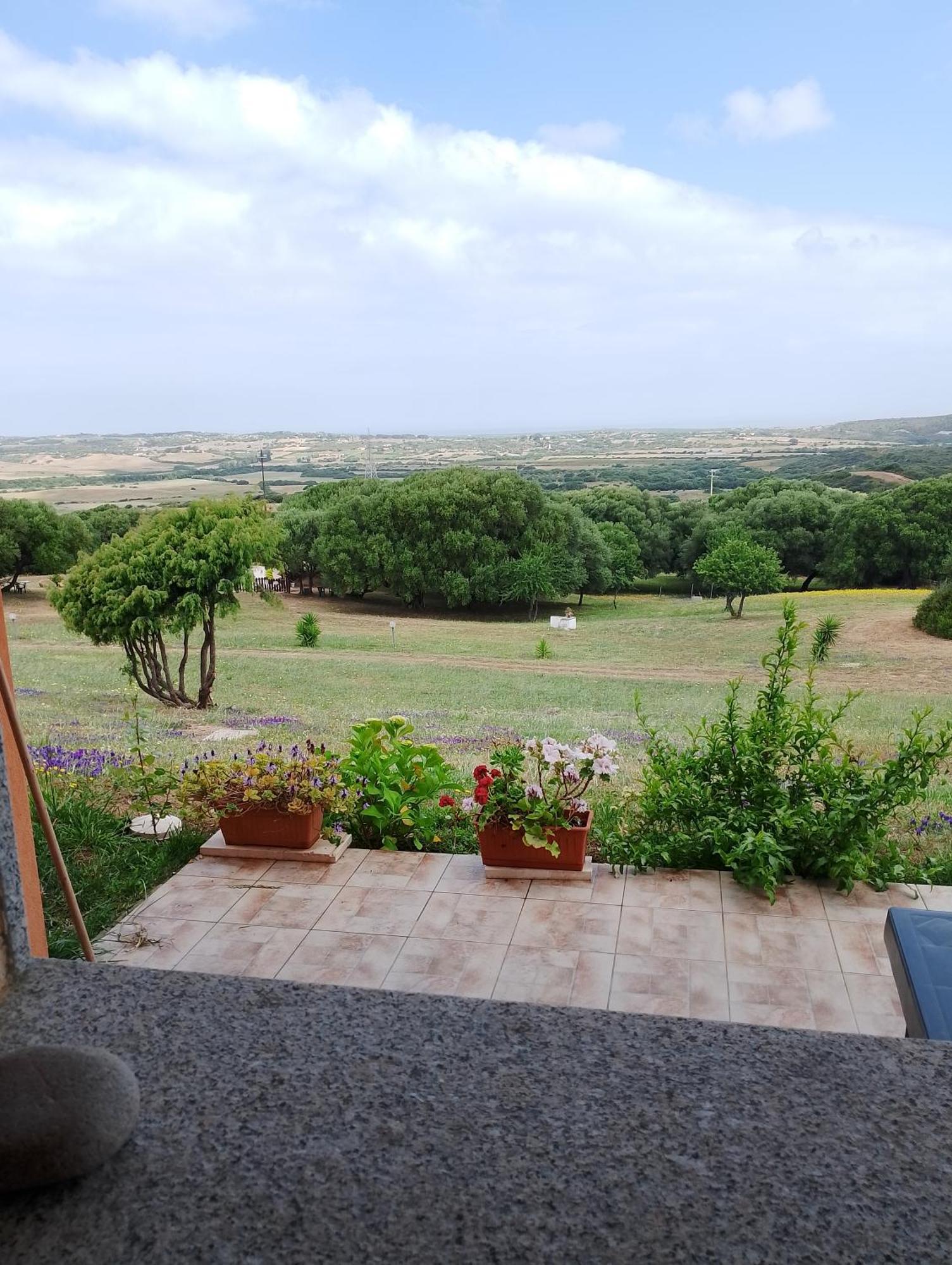 Agriturismo Gli Olivastri Aglientu Exterior foto